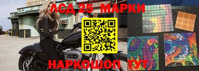 эйфоретик Малгобек