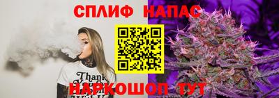 эйфоретик Малгобек