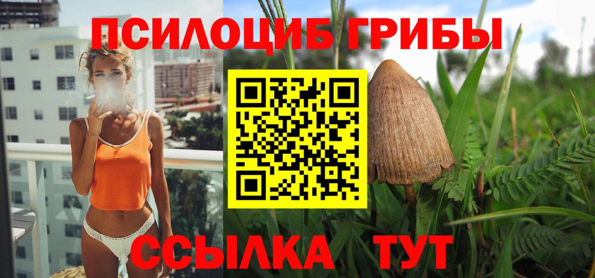 Усть-Илимск  Галлюциногенные грибы Psilocybine cubensis  Вход с VPN 